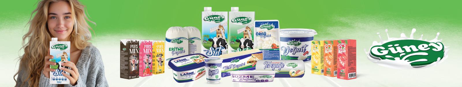 Güney süt, yoğurt, ayran, peynir ve tereyağı ürün çeşitleri